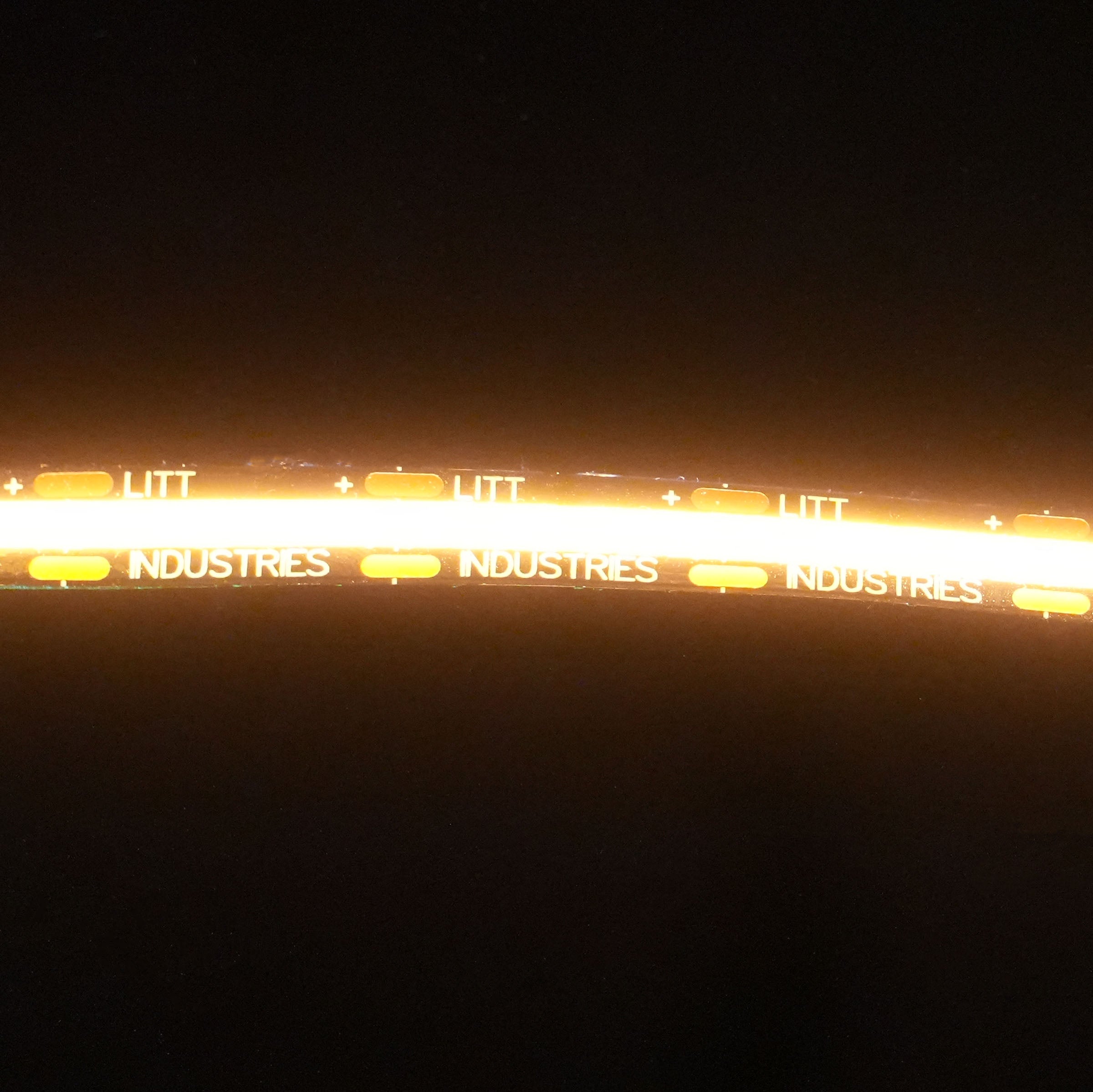 Photo of 12V Flexible 15ft LED Strip Light by Litt Industries - Premium LED Light Whips & Rock Lights for UTVs / Side by Sides