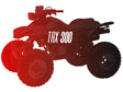 CW Motorsports Remanufactured Engine, Honda TRX 300