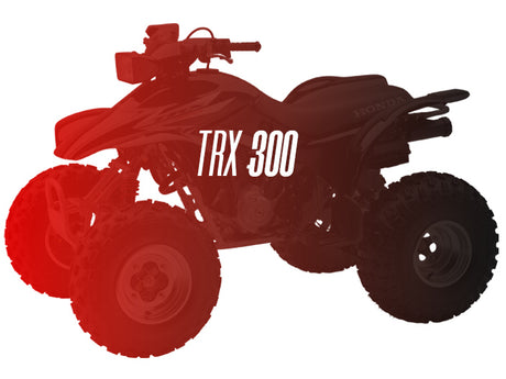 CW Motorsports Remanufactured Engine, Honda TRX 300