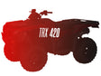 CW Motorsports Remanufactured Engine, Honda TRX 420