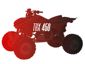 CW Motorsports Remanufactured Engine, Honda TRX 450
