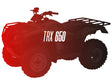 CW Motorsports Remanufactured Engine, Honda TRX 650