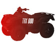 CW Motorsports Remanufactured Engine, Honda TRX 680