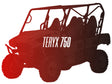 CW Motorsports Remanufactured Engine, Kawasaki Teryx 750