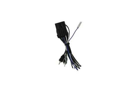 RZR® Ride Command Amplifier Harness + Remote | UTVS-RZR-RC-RCA-REM