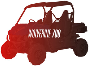 CW Motorsports Remanufactured Engine, Yamaha Wolverine 700