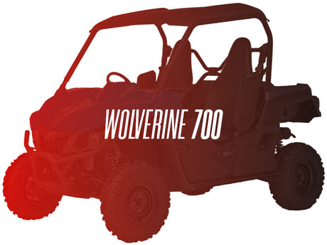CW Motorsports Remanufactured Engine, Yamaha Wolverine 700