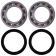 Can Am  DS 250 rear Axle Bearings and Seals 2006 - 2024 - product view 1