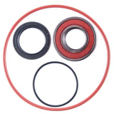 Yamaha 250 Bruin Big Bear Beartracker Rear Brake Panel Bearing & Seal Kit 1999-2009 - product view 1