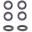Arctic Cat 400 500 Rear Axle Carrier Bearing & Seal Kit 2000-2002 - product view 1