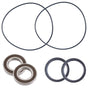 Honda TRX 250R 250X 300X 300EX 400X Rear Carrier Bearings & Seals - product view 1