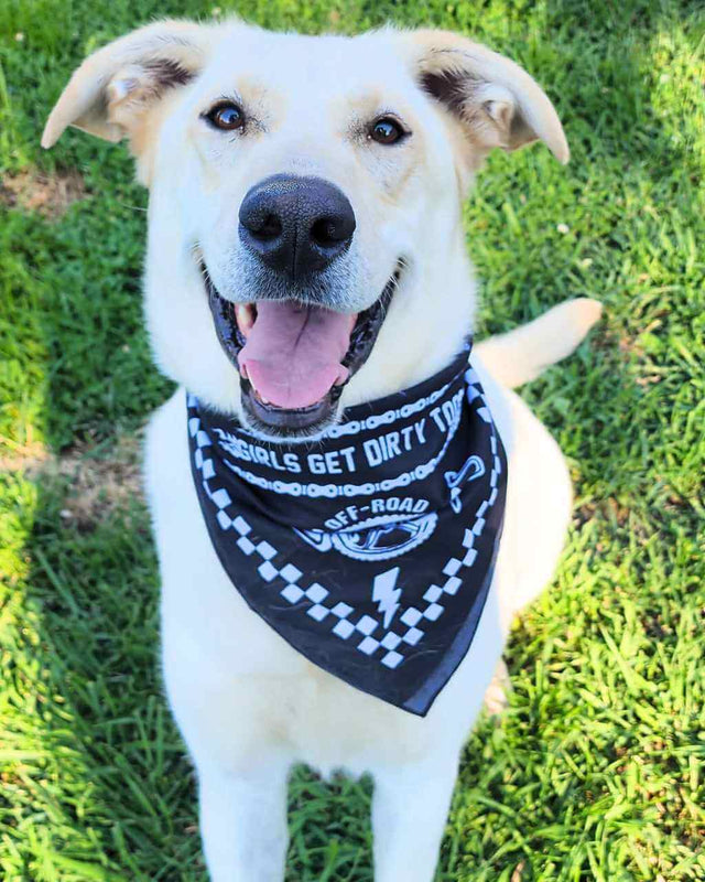Photo of Be Epic Bandana by OFF-ROAD VIXENS CLOTHING CO. - Premium Accessories for UTVs / Side by Sides