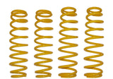 Can-Am Commander 6in. Lift Kit Replacement Springs (Set Of 4 Springs)