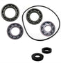 Kawasaki Teryx 750 Rear Differential Bearing & Seal Kit 2008 - 2013 | 4XPRO - product view 1