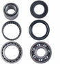 Yamaha Grizzly Rhino 660 700 Rear Differential Bearing & Seal Kit 2002-2013 | 4XPRO - product view 1
