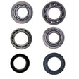 Arctic Cat 300 400 500 Non FIS Front Differential Bearing & Seal Kit 1998-2001 - product view 1