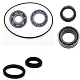 Arctic Cat 250 300 2X4 Rear differential bearing & seal kit - product view 1