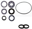 Arctic Cat Prowler XTX XT 500 700 1000 Rear Differential Bearing & Seal Kit | 4XPRO - product view 1