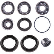 Arctic Cat Rear Differential Bearing & Seal Kit - product view 1