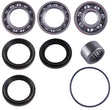 Arctic Cat Prowler HDX / XTX Rear Differential Bearing & Seal Kit | 4XPRO - product view 1