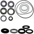 Suzuki Quadrunner 500 Rear Differential Bearing & Seal Kit 1998 - 2000 - product view 1