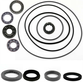Suzuki Quadrunner Quadmaster 500 Rear Differential Bearing & Seal Kit  2001 2002 - product view 1