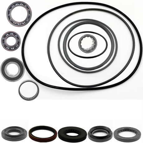 Suzuki Ozark Quadsport 250 Rear Differential Bearing & Seal Kit  2002 - 2014 - product view 1