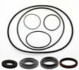Suzuki Ozark Quadsport 250 Rear Differential Seal Kit  2002 - 2014 - product view 1