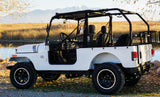 Photo of ROXOR Backseat and Roll Cage kit (2018-2025) by UTV Mountain Accessories - Premium Roll Cages for UTVs / Side by Sides