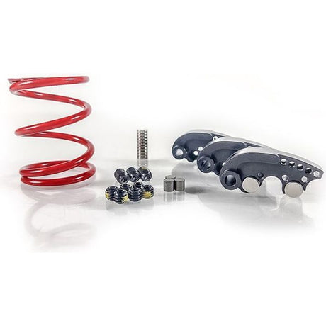 Polaris General / RZR Stage 1 Clutch Kit