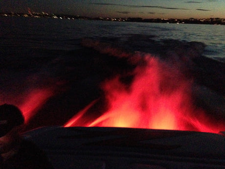 Photo of Subaqua Underwater LED Light by Vision X Off-Road - Premium Light Pods for UTVs / Side by Sides