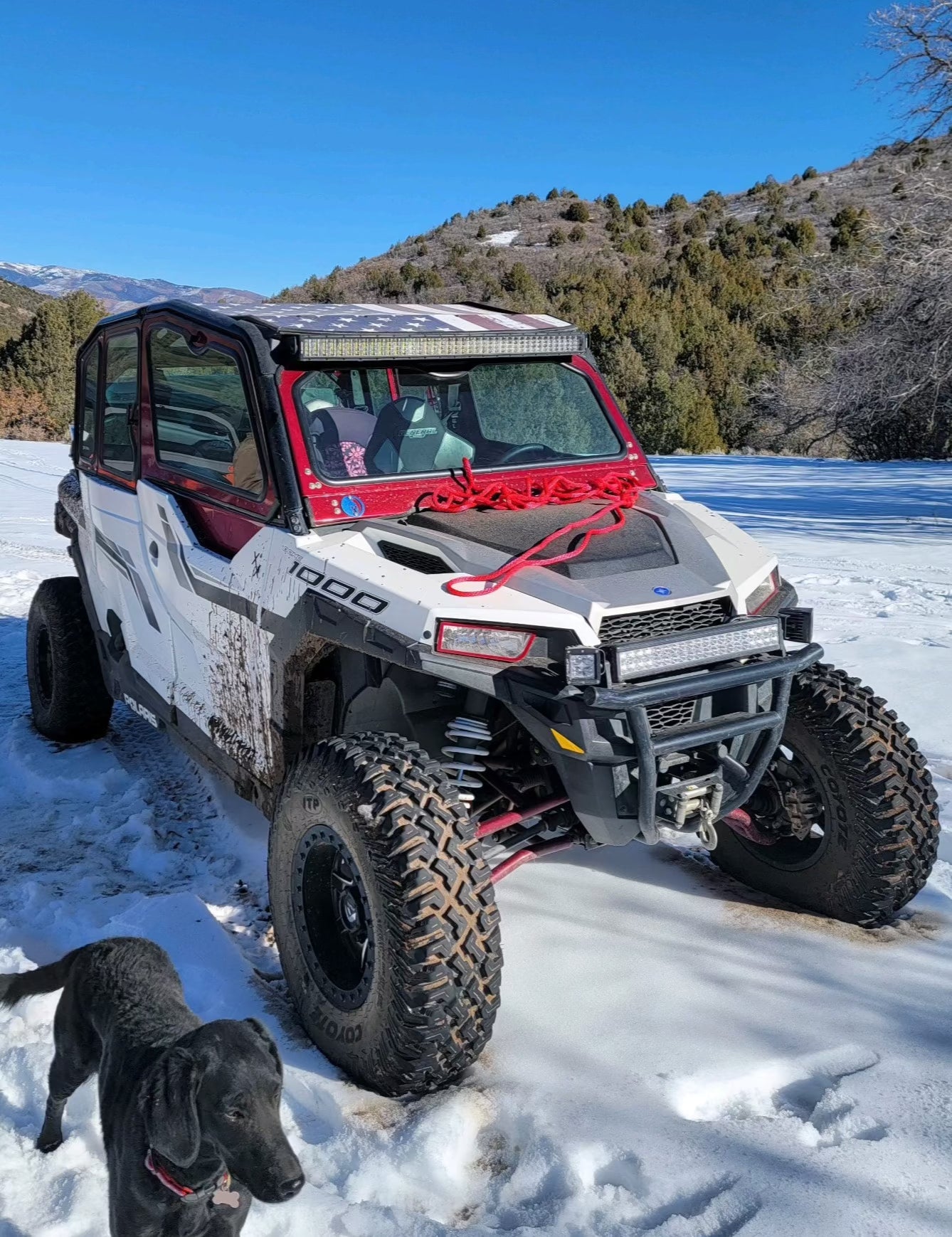 Photo of POLARIS GENERAL 4-SEAT Cab Enclosure "THE VAULT" 2016+ Upper Side Doors & Panels (Patent Pending) by Dirt Warrior Accessories - Premium VAULT for UTVs / Side by Sides