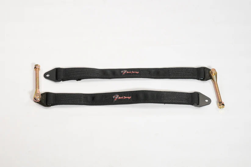 Photo of Arctic Cat Wildcat XX Limit Strap Kit by Shock Therapy - Premium Limit Straps for UTVs / Side by Sides