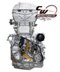 CW Motorsports Remanufactured Engine, Kawasaki Teryx KRX 1000