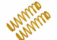 Polaris RZR Front Coil Springs (1-Pair)