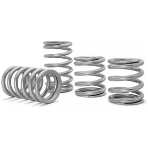 Polaris RZR XP 1000 Tender Springs