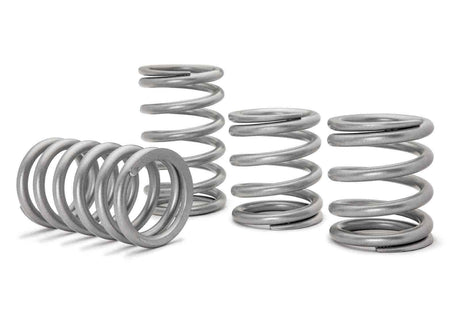 Polaris RZR PRO XP Tender Springs