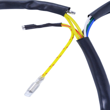 Photo of Generator Stator for Polaris Sportsman 600 2004-2005 / 700 Carb 2004-2006 | OEM # 4010901 by RM STATOR - Premium for UTVs / Side by Sides