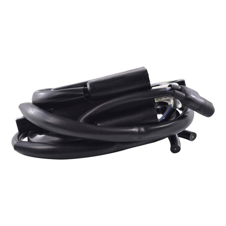 Photo of External Ignition Coil for Arctic Cat Jag 3000 | Ski-Doo Formula 583 | Lynx 6900 | Sea-Doo 720 GTI 1976-2020 | 278000383 by RM STATOR - Premium for UTVs / Side by Sides