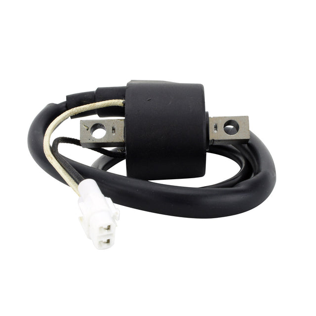 Photo of External Ignition Coil for Arctic Cat M / XF / ZR 6000 8000 | Polaris 600 IQ 2007-2024 | # 3007-548 4012168 by RM STATOR - Premium for UTVs / Side by Sides