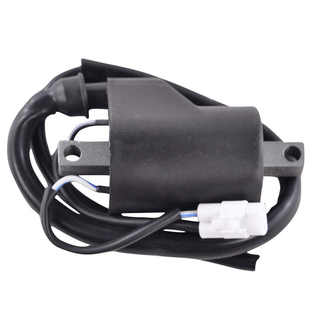 Photo of External Ignition Coil for Polaris 600 800 Pro RMK / Switchback Assault / SKS / Rush Pro-S / Titan 2005-2024 | 4017656 by RM STATOR - Premium for UTVs / Side by Sides