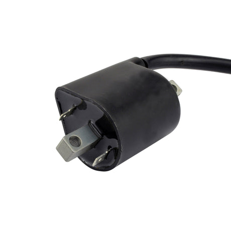 Photo of External Ignition Coil for Suzuki Yamaha Boulevard GZ Savage Intruder Royal V Star 250 650 1100 1300 1400 1500 1986-2019 by RM STATOR - Premium for UTVs / Side by Sides