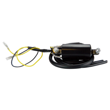 Photo of Pillar Type Electronic Ignition Conversion 1 ohm Dual Lead 6 Volts Ignition Coil for Honda Kawasaki Suzuki Yamaha by RM STATOR - Premium for UTVs / Side by Sides