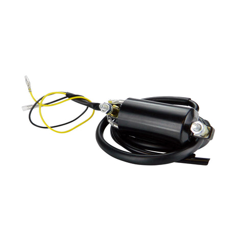 Photo of Pillar Type Electronic Ignition Conversion 1 ohm Dual Lead 6 Volts Ignition Coil for Honda Kawasaki Suzuki Yamaha by RM STATOR - Premium for UTVs / Side by Sides