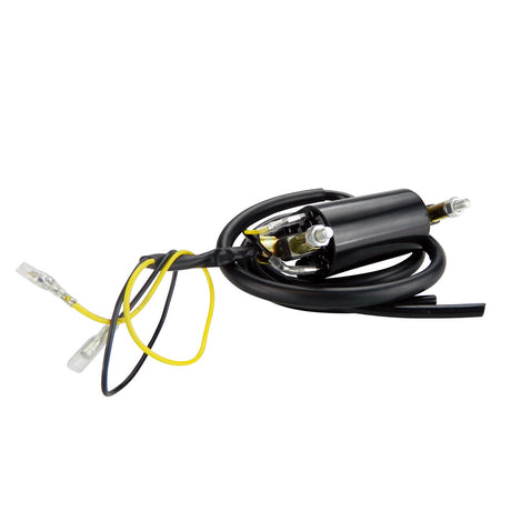Photo of Pillar Type Electronic Ignition Conversion 1 ohm Dual Lead 6 Volts Ignition Coil for Honda Kawasaki Suzuki Yamaha by RM STATOR - Premium for UTVs / Side by Sides