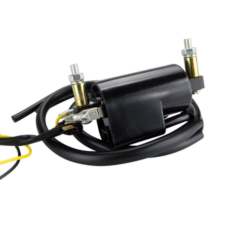 Photo of Pillar Type Electronic Ignition Conversion 1 ohm Dual Lead 6 Volts Ignition Coil for Honda Kawasaki Suzuki Yamaha by RM STATOR - Premium for UTVs / Side by Sides