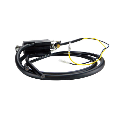 Photo of Pillar Type Electronic Ignition Conversion 1 ohm Dual Lead 6 Volts Ignition Coil for Honda Kawasaki Suzuki Yamaha by RM STATOR - Premium for UTVs / Side by Sides