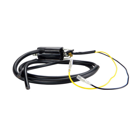 Photo of Pillar Type Electronic Ignition Conversion 1 ohm Dual Lead 6 Volts Ignition Coil for Honda Kawasaki Suzuki Yamaha by RM STATOR - Premium for UTVs / Side by Sides