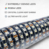 R1 Pro Series 2-foot Fatty RGBW LED whip showing the dense LED strip