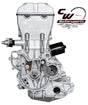 CW Motorsports Remanufactured Engine, Polaris RZR XP 900